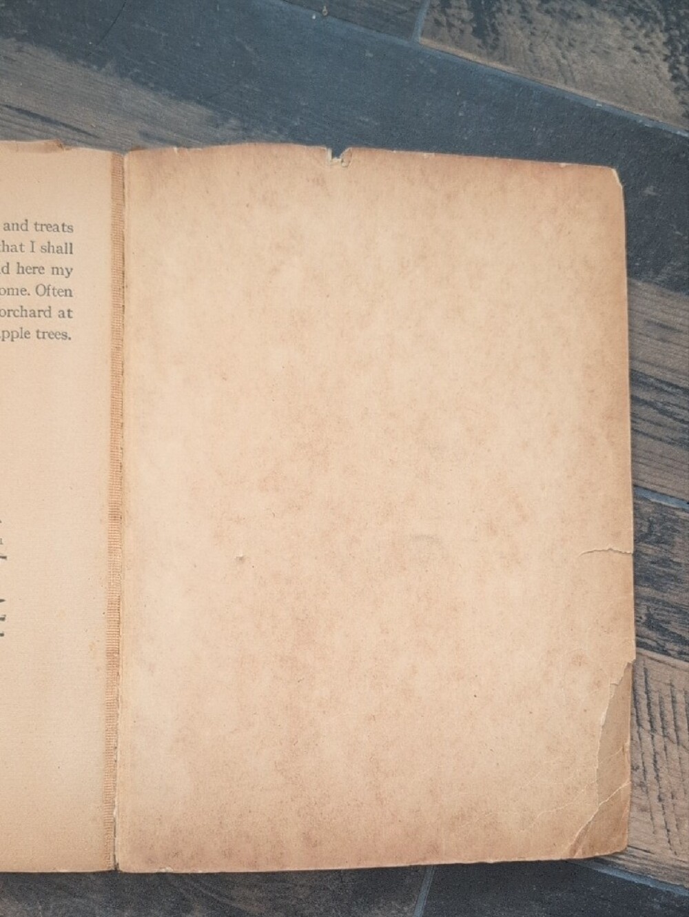 Black Beauty 1920's Vintage Antique Children Book Retro Cover Illustration Rare - Picture 8 of 14